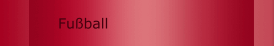 Fußball
